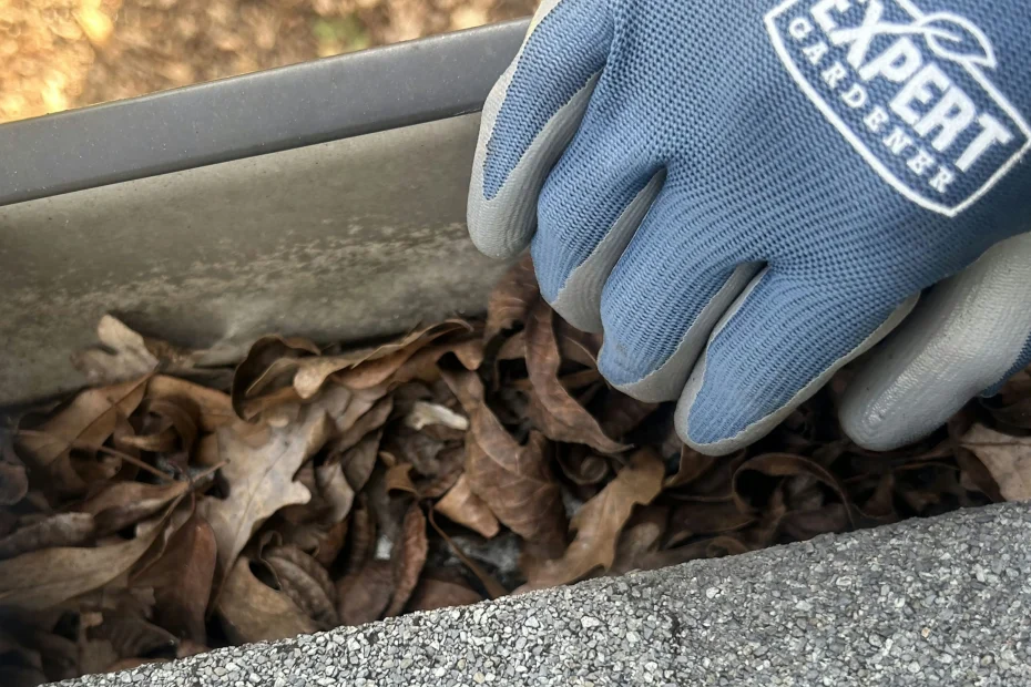 Gutter Cleaning Vero Beach FL