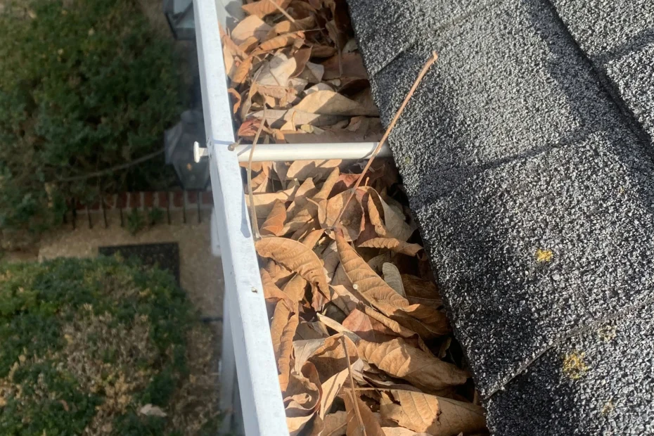 Gutter Cleaning Vero Beach FL